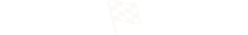 Le Mans Cars Collection Chequered Flag Icon